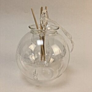 Young Living YL Glass Globe Hanging Ornament Diffuser in Box with‎ Reeds & Oils